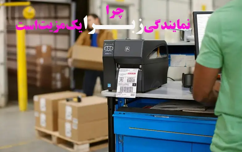 چرا-نمایندگی-زبرا-یک-مزیت-است